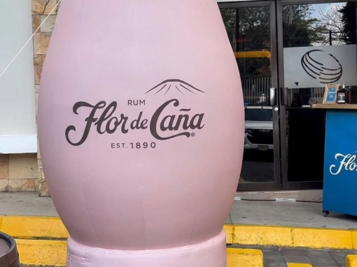 Flor de Caña